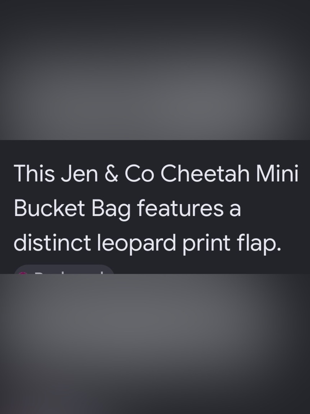 Bag Leopard-Print Flap Satchel in Brown Jenn and Company - Picture 8 of 8